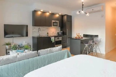 Studio apartment for rent downtown Place des arts Image# 7
