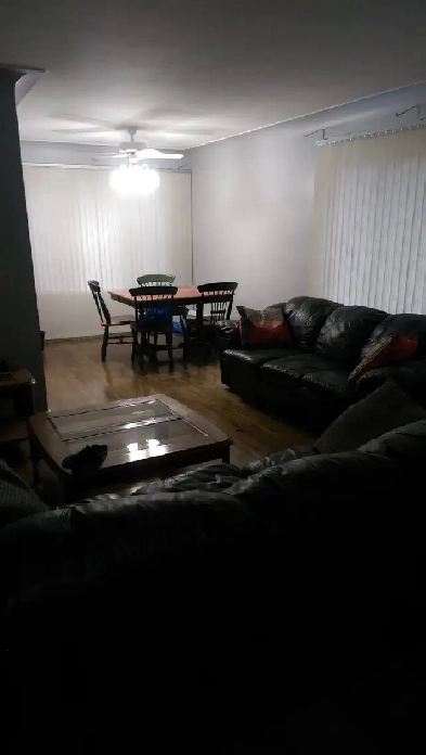 Room for rent near St Clair College $650 month Image# 1