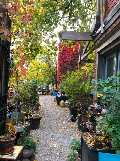 Beautiful Studio bachelor Image# 1