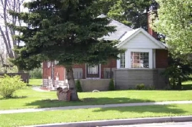 ACCOMODATION AVAILABLE  - SCARBOROUGH Image# 8