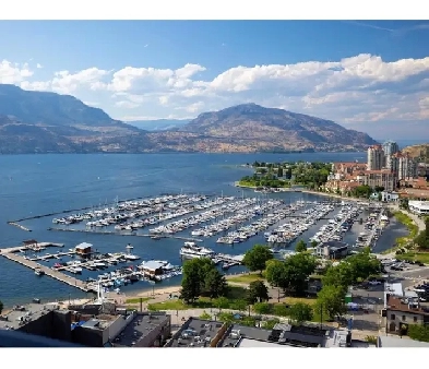 New 2 BR Furnished Downtown Lakeview Condo Image# 1