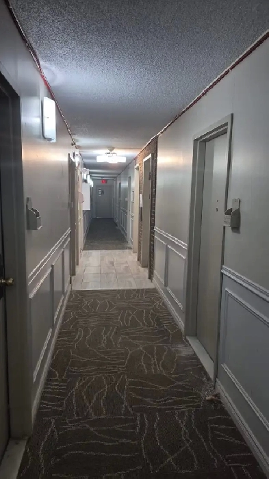 3 ½ Tout Inclus à Montréal – Quartier Calme près du Cégep Bois-d Image# 1