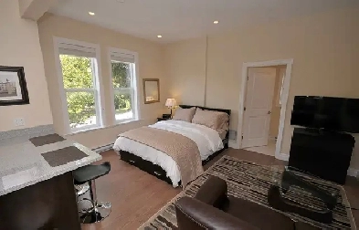 Top Floor Fully Furnished Pet Friendly Studio Suite Image# 2