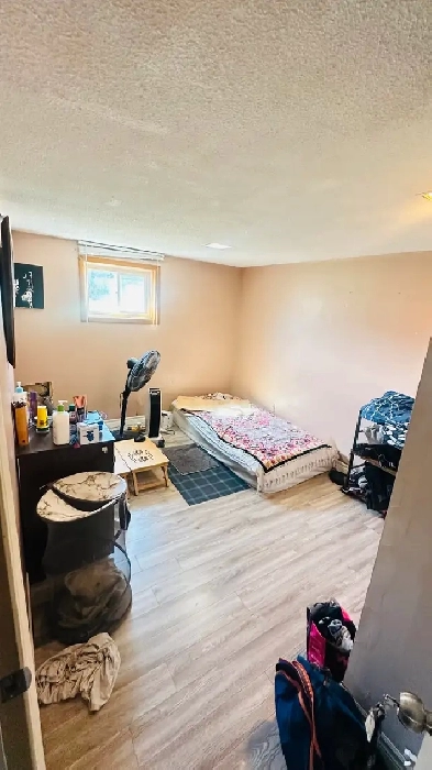 Room for rent in Malton Mississauga Image# 1