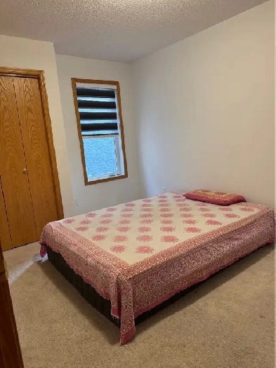 Room Available for rent in north Winnipeg $500 Image# 1