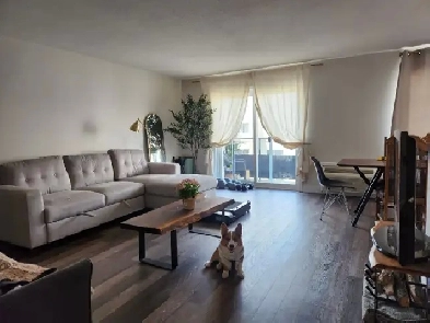 Room for rent 1000$/month, Guelph, ON Image# 1