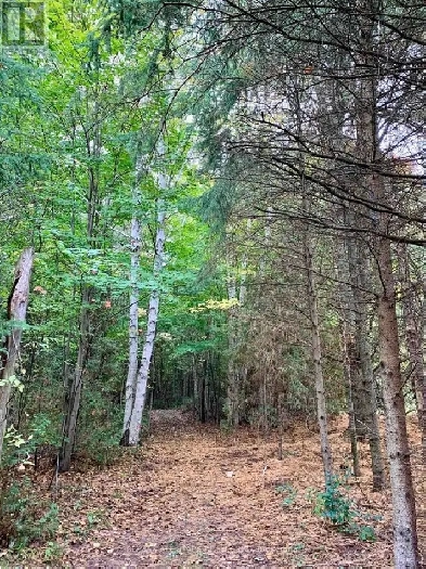 North Uxbridge - 15 Acres, Mixed Uses ~ Close to Town ~ $575,000 Image# 3