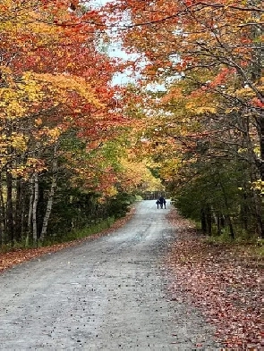 Build Your Dream Retreat on 1.5 Acres in Whitepoint Estates Image# 1