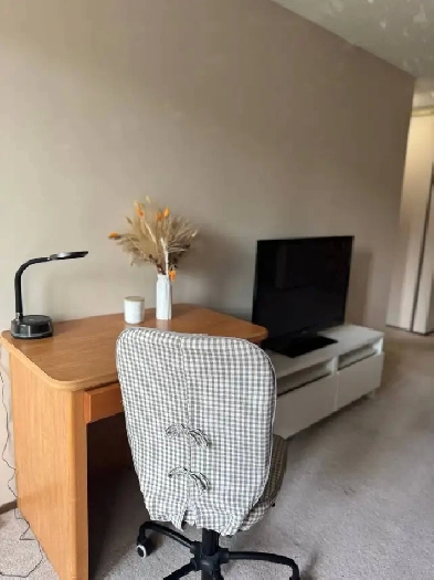 RE-RENT APARTMENT Image# 2