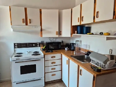 Logement a louer Image# 5