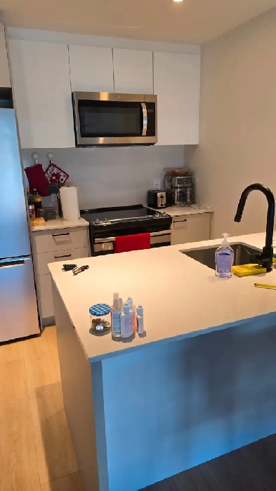 Cession de bail – 2 ½ moderne à Outremont (1200 Thérèse Lavoie-R Image# 1