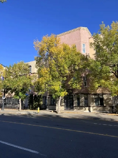 ✨ Office & Retail Space for Lease – 8920 118 Ave NW, Edmonton Image# 1