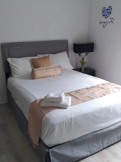 one bedroom apartment / bachelor / studio Image# 1