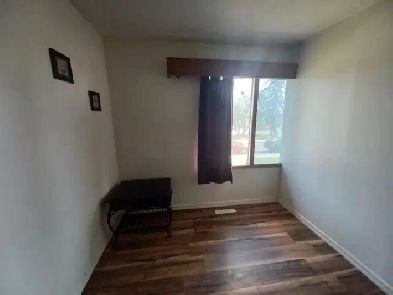 Huge Room for Rent/ Northgate Area Image# 1