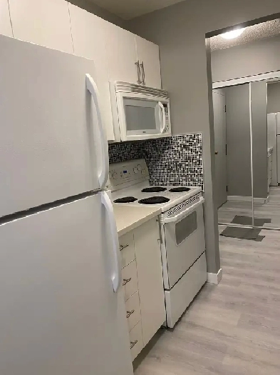 Newly Renovated 1 bedroom 1 bath Condo in SE Millwoods Image# 1