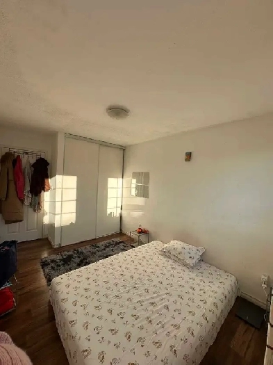 Room for Rent-Hurontario & Ray Lawson Blvd Image# 6