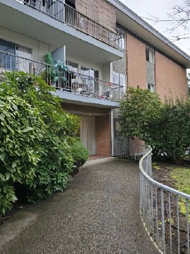 1 Bedroom Apt Available Sept 1st. Near Edmonds and Kingsway Image# 8