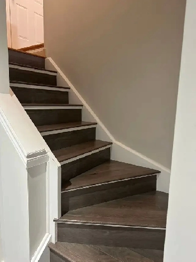 One bedroom basement available  for rent(1st sep) Image# 2