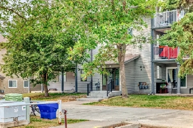Beautiful 2 bedroom apartment with huge walk out patio Image# 8