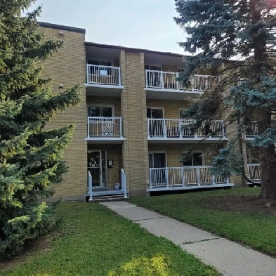 2 bedroom apartment available Sept. 1, 2025 - 332 Regina St. N. Image# 5