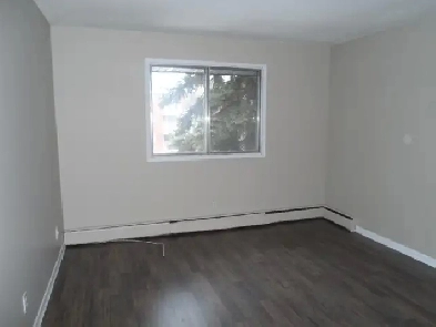 SEPTEMBER Renting! A nice and cozy 1-bedroom suite on Whyte ave. Image# 1