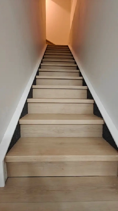 Brand New 1 Bedroom Legal Basement: Vermillion Hill SW Calgary Image# 1