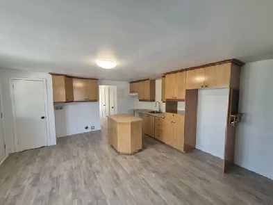 Logement à louer 4 1/2 St-Apollinaire Image# 2
