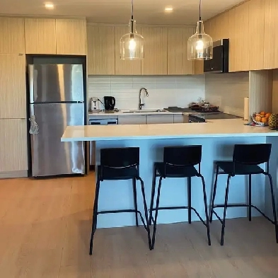 3 1/2 Apt renove centre-ville | 3 1/2 renovated downtown apt Image# 4