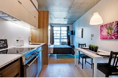 Semi furnished/meublé Studio Griffintown high floor/nice view Image# 3