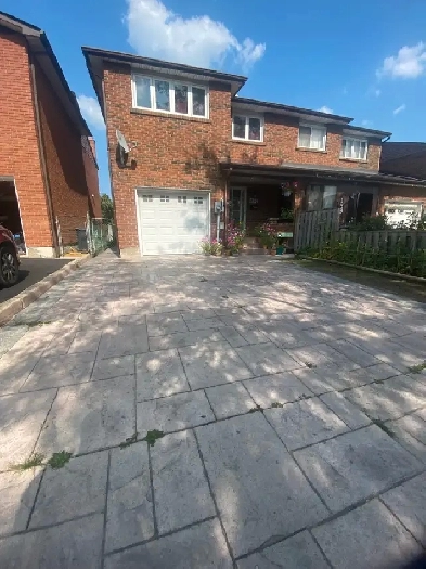 2 Bedroom 1 bathroom Basemnt for Rent Image# 1