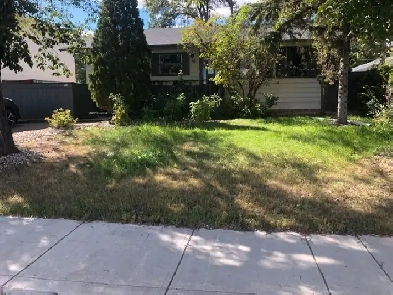 Looking for a bright, comfortable place to call home? Image# 3