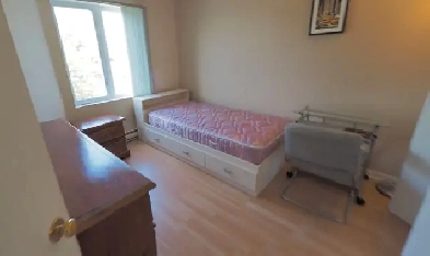 Cherche coloc 4-1/2 CONDO 2-km CEGEP/UQO Image# 7
