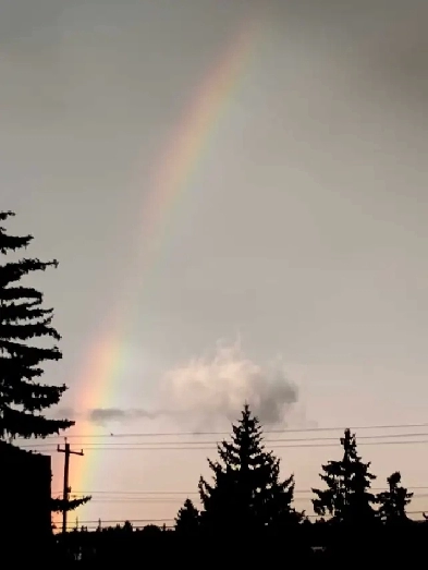 NEED 2 BEDROOM BASEMENT Image# 1