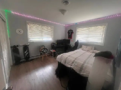 Student Room s For Rent  Brock / Niagara Image# 4