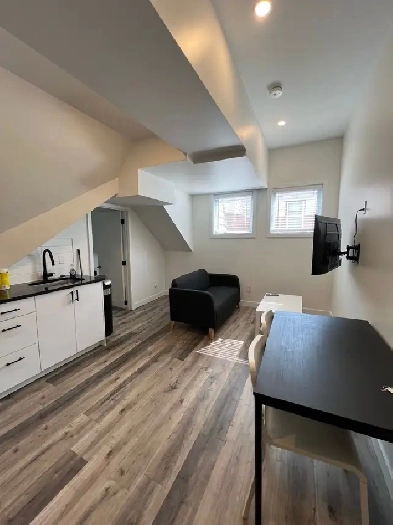 Fully Furnished 1 Bedroom Near U-Ottawa Image# 3