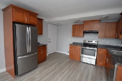Fully renovated 2 Bedroom  - Avail Sept or Oct - 223 Ontario Image# 7