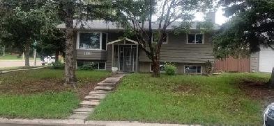 2 bedrooms basement Dalhouse Image# 1