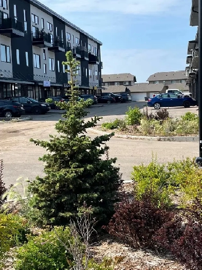 Condo for sale in Willowgrove-Saskatoon Image# 10