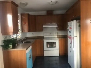 Grand 4 et demi ,disponible maintenant, garage, air climatisé Image# 1