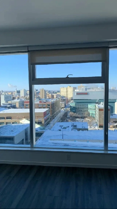 Beautiful, Modern 1 Bedroom Downtown Suite (Lease Takeover) Image# 7