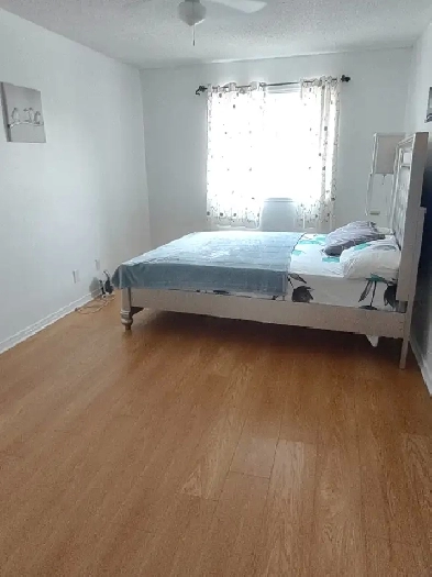 Student Rooms to Rent Near Cité Collégiale and Ottawa University Image# 6