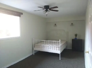 Room for rent near St. Clair College Image# 1