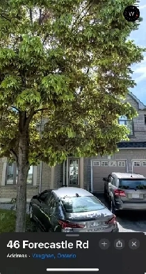 ROOM For Rent in Multi-Million Dollar HOME Renovated SAVE $250 Image# 3