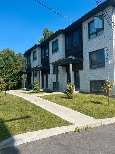 APPARTEMENT 4 1/2 À LOUER - SAINT-CHARLES-BORROMÉE Image# 6