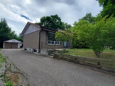 Updated Lower Level Bungalow For Rent Image# 1