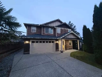 2 Bedroom Basement suite for rent Image# 3