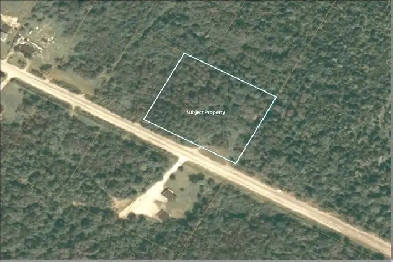 3-Acre Treed Lot in Queens County, NB – Build Your Dream Home Image# 1