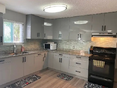 Large upgraded 2 BR suite in Newton Image# 2