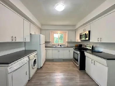 Student Accomodation - 3, 4 or 7 people Image# 4
