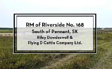 Pasture Land for Sale by Tender - RM of Riverside No. 168 Image# 1